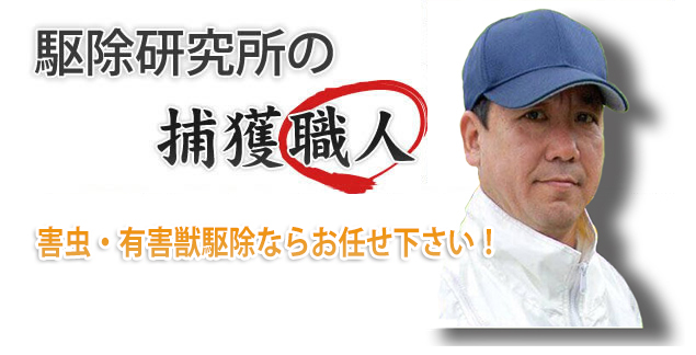 駆除研究所の捕獲職人｜駆除研究所