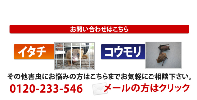 無料見積り・お問い合わせ｜駆除研究所
