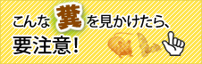 害虫・有害獣の糞