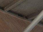 20130214-122159.jpg