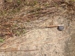 20130509-111923.jpg