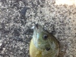 20130509-111934.jpg