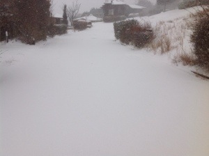 20131226-134230.jpg