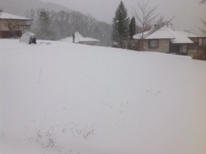 20131226-134243.jpg