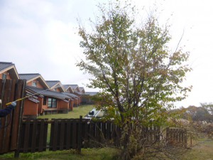 P1100422