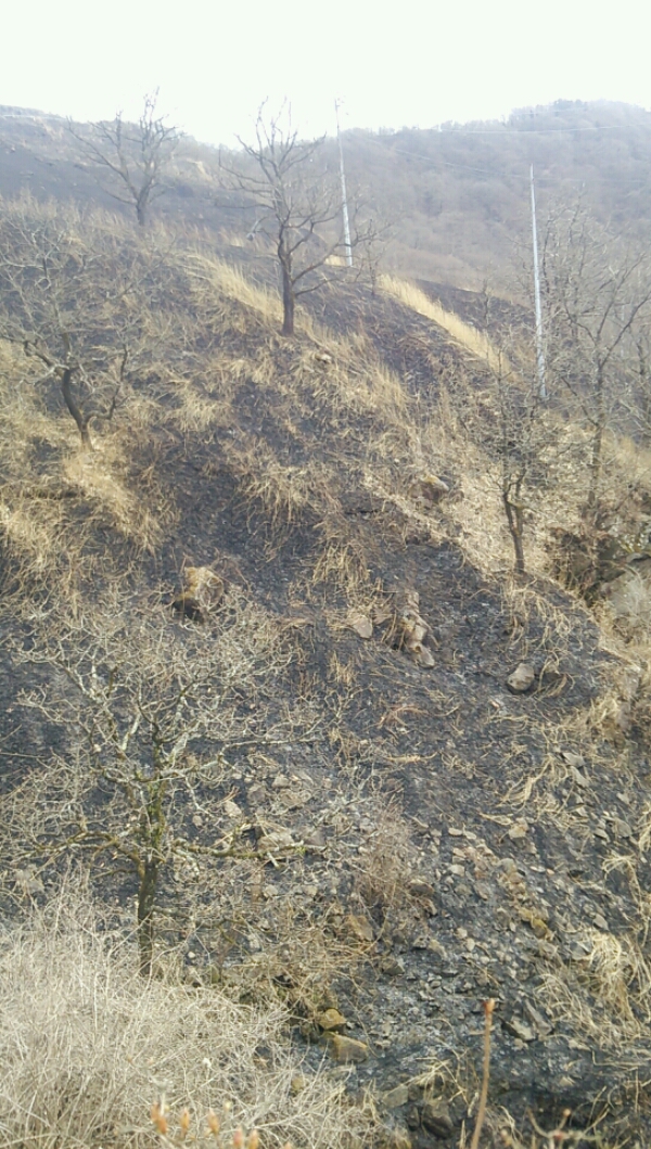 20160323_140539_123.jpg image