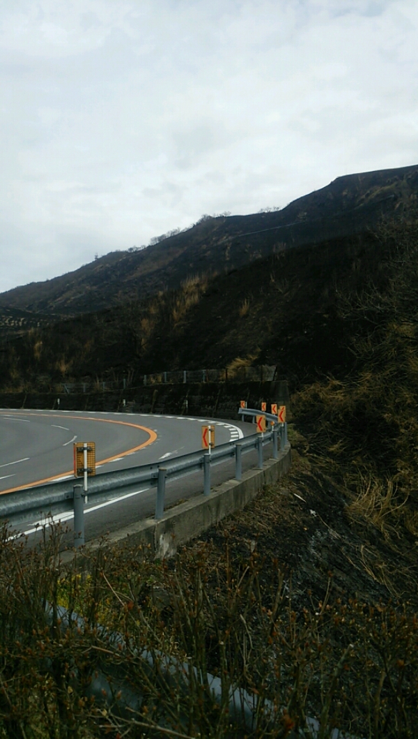 20160323_140548_131.jpg image