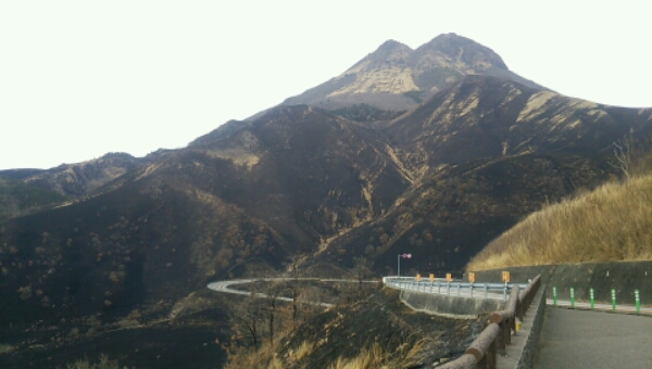 20160323_140718_213.jpg image