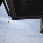 RIMG3768