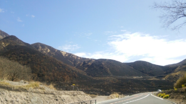 DSC_1224.JPG image